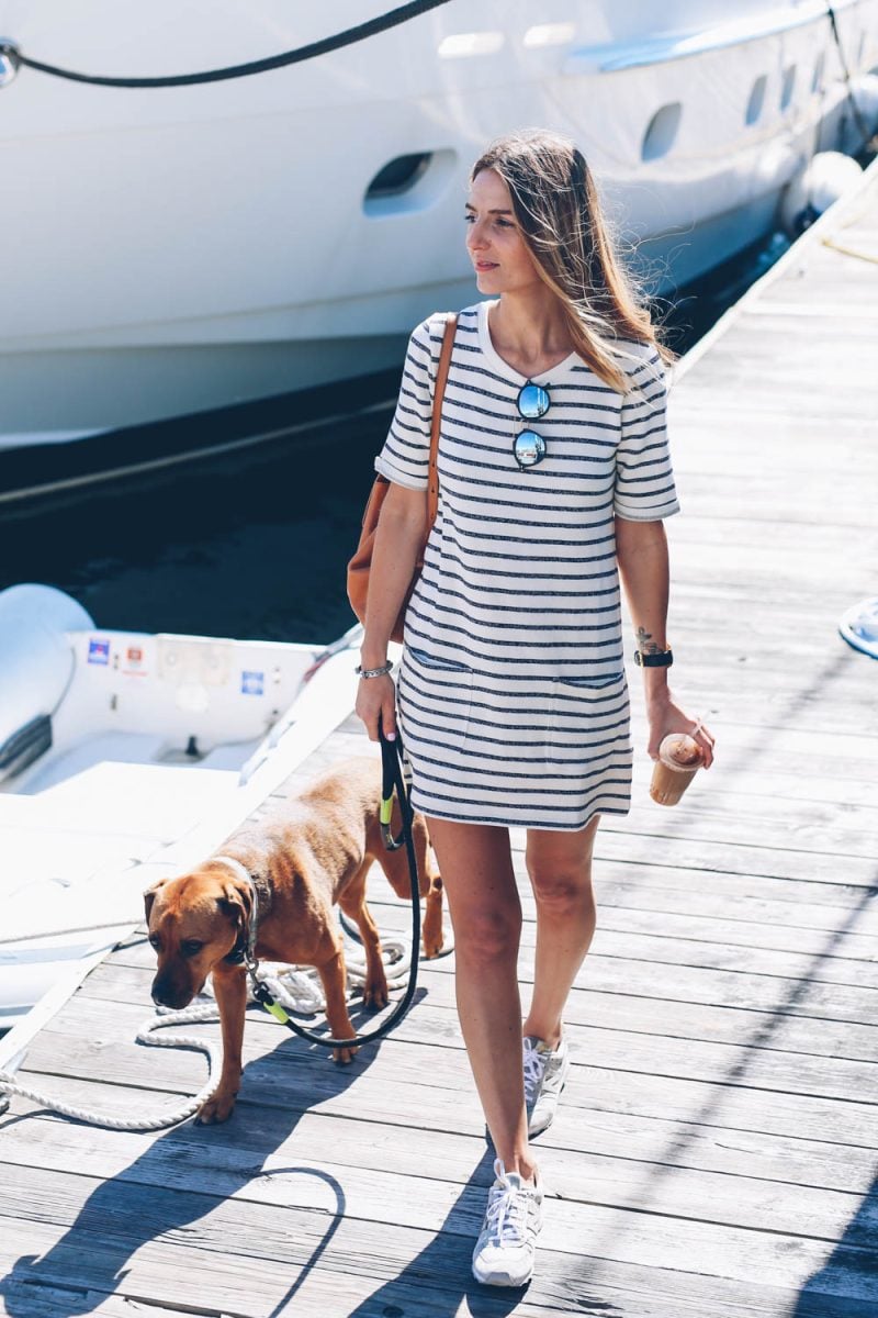 What to Do (and Where to Stay) With Your Dog in Newport