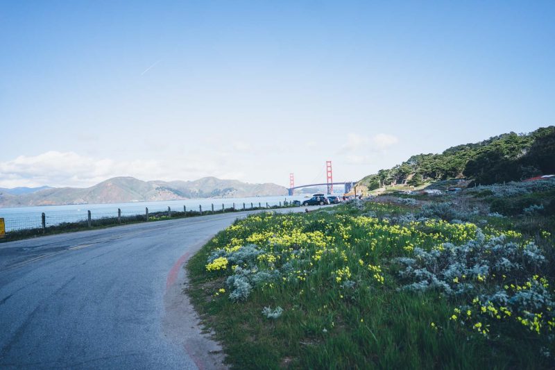 San Francisco Travel Diary