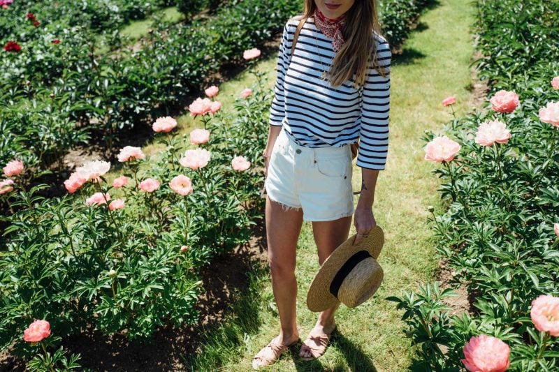 Day Trip to Little Compton to Visit a Peony Farm