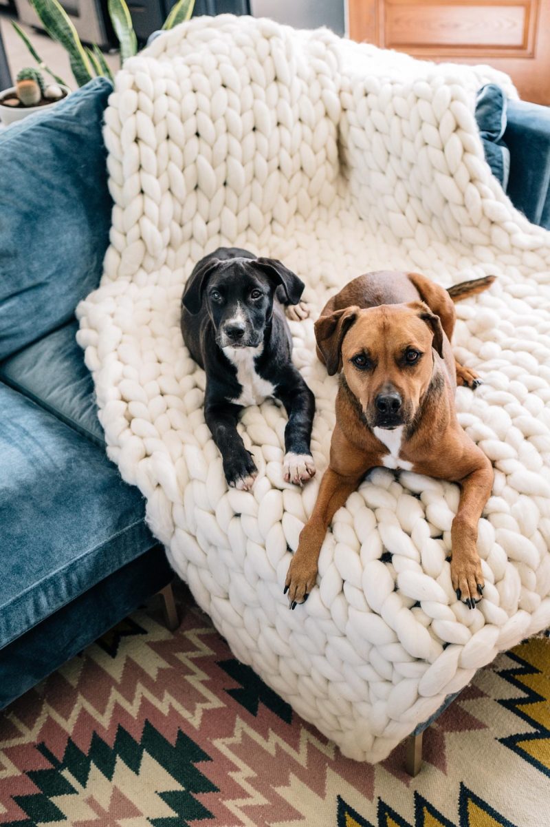 9 Cozy Throw Blankets for Fall