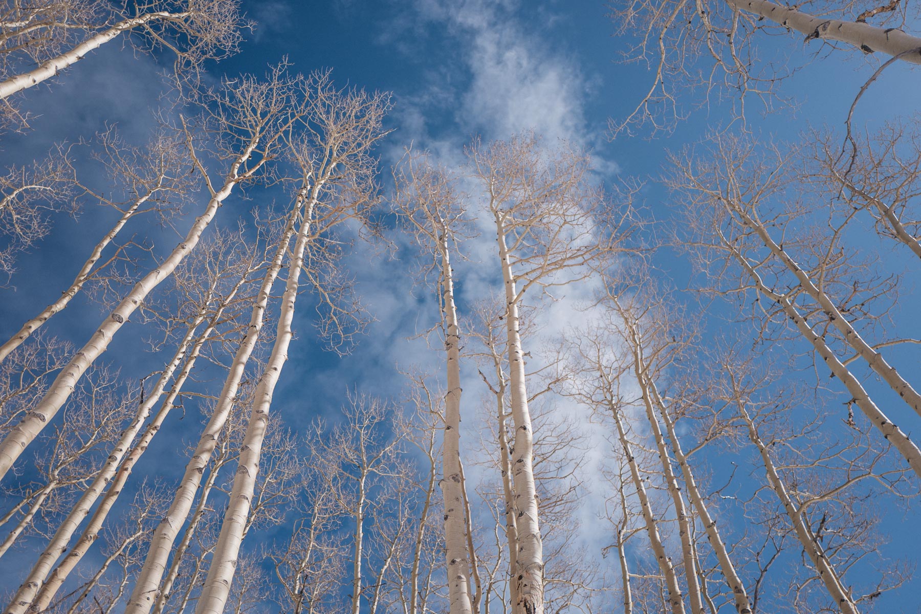 Jess Ann Kirby enjoys the cold weather in Beaver Creek, Colorado