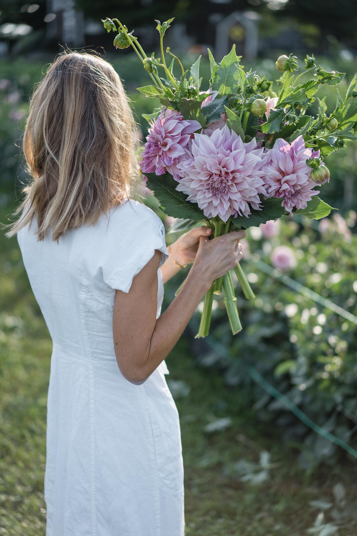 Jess Ann Kirby Dahlia Shed Jess Ann Kirby wears a linen dress to the Dahlia Shed in Middletown Rhode Island