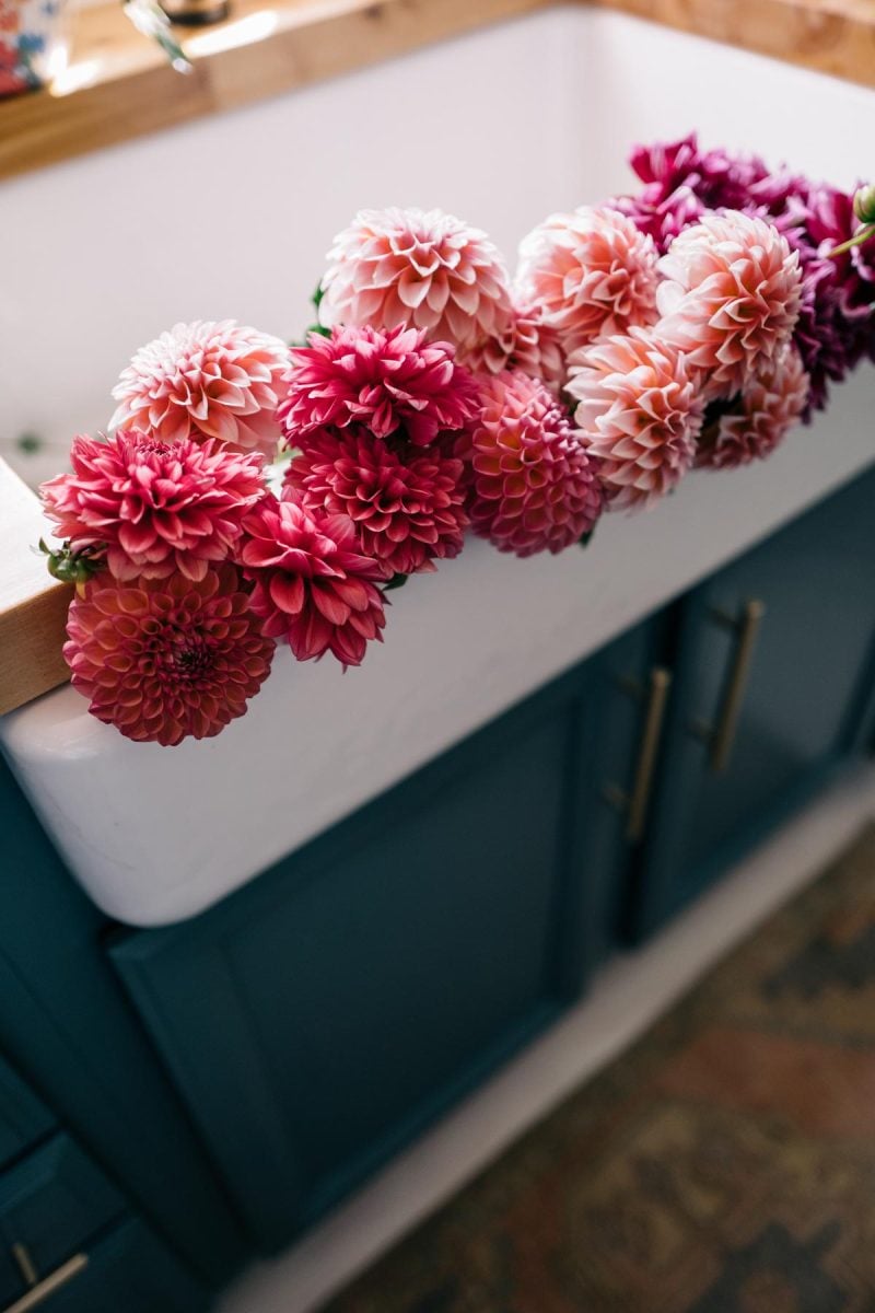 Click. Read. Love. & Labor Day Weekend Sales