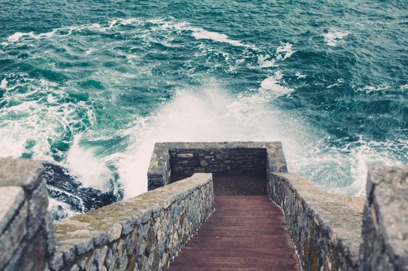 Click. Read. Love. 11.8.19