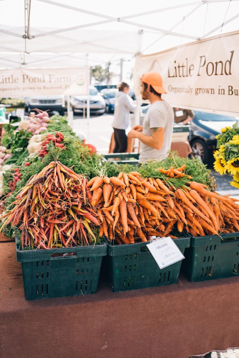 Creative Ways to Reduce Your Carbon Footprint