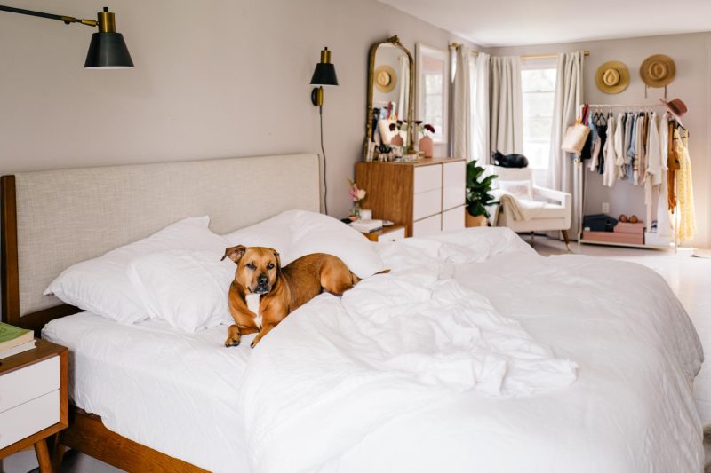 Sustainable and Eco-Friendly Bedding for Every Budget