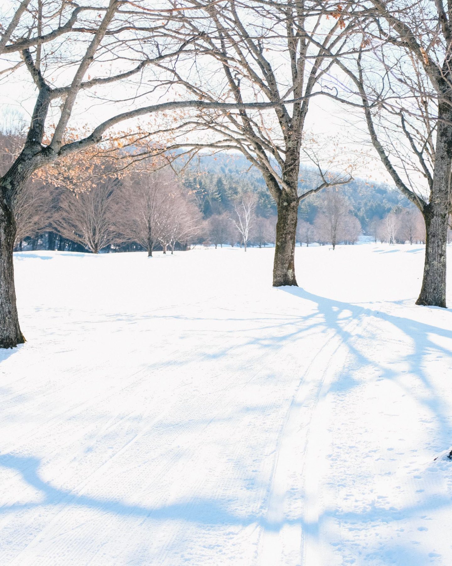 Woodstock winter activities