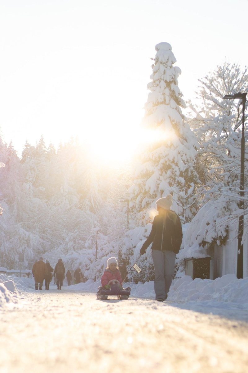 Budget Friendly Activities for School Vacation